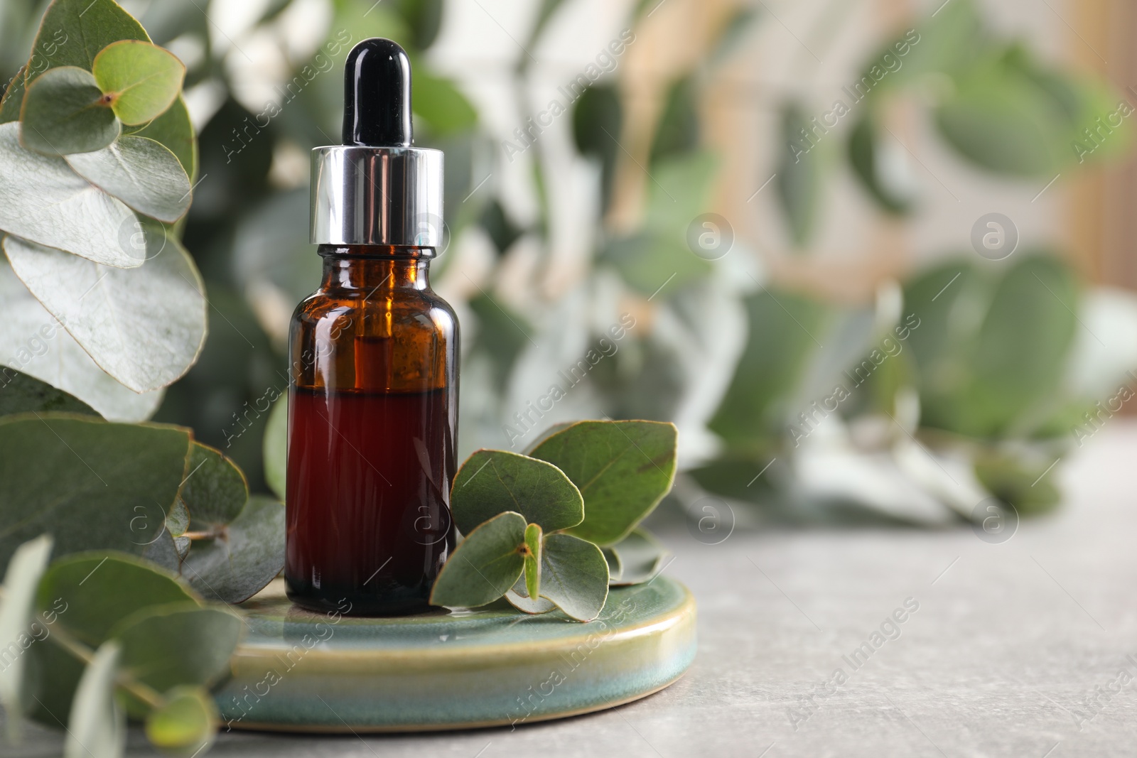 Photo of Aromatherapy. Bottle of essential oil and eucalyptus leaves on grey table, space for text