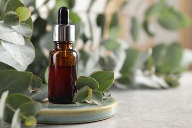 Aromatherapy. Bottle of essential oil and eucalyptus leaves on grey table, space for text