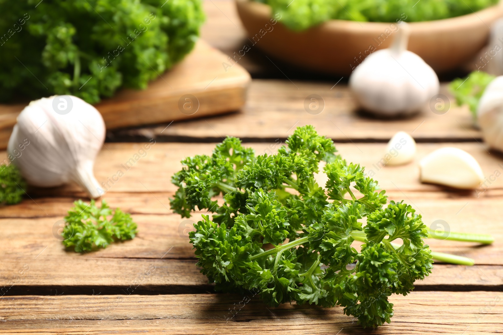 Photo of Fresh curly parsley and garlic on wooden table