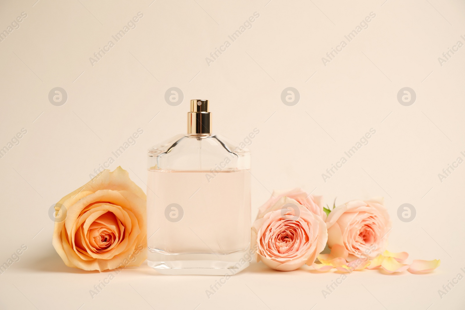Photo of Bottle of perfume with roses on beige background