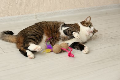 Cute cat playing with toy on floor at home. Lovely pet