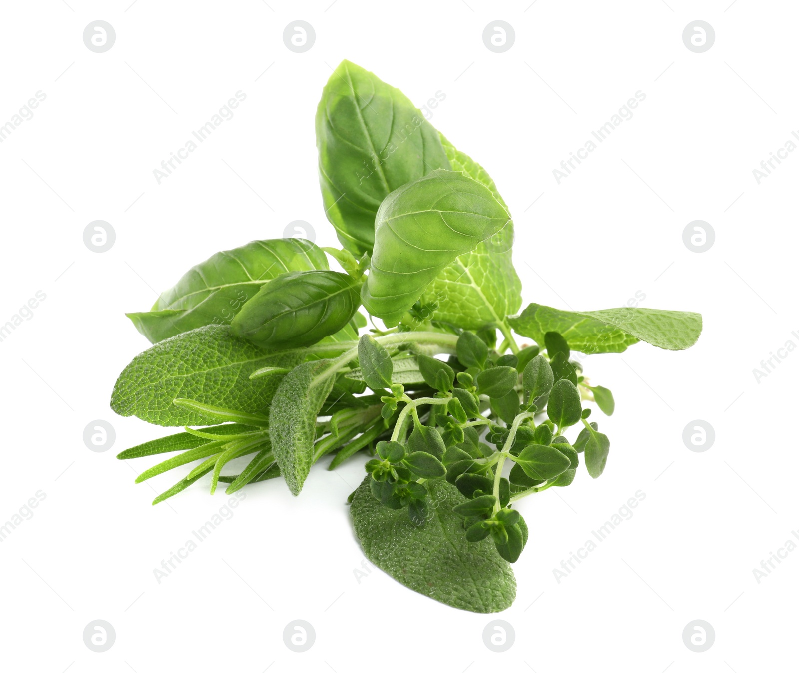 Photo of Various fresh aromatic herbs on white background