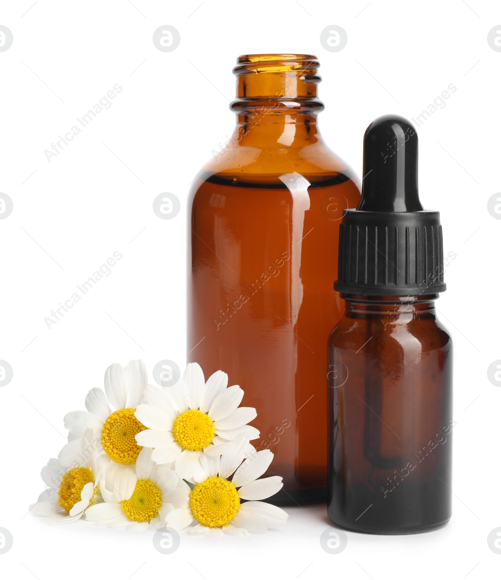 Photo of Chamomile flowers and cosmetic bottles of essential oil on white background