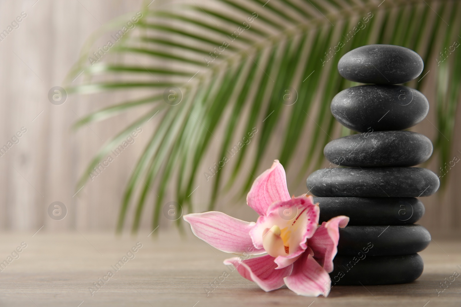 Photo of Stack of black spa stones with flower on wooden background. Space for text