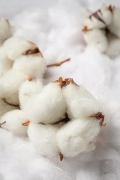 Photo of Cotton flowers on white fluffy background, closeup