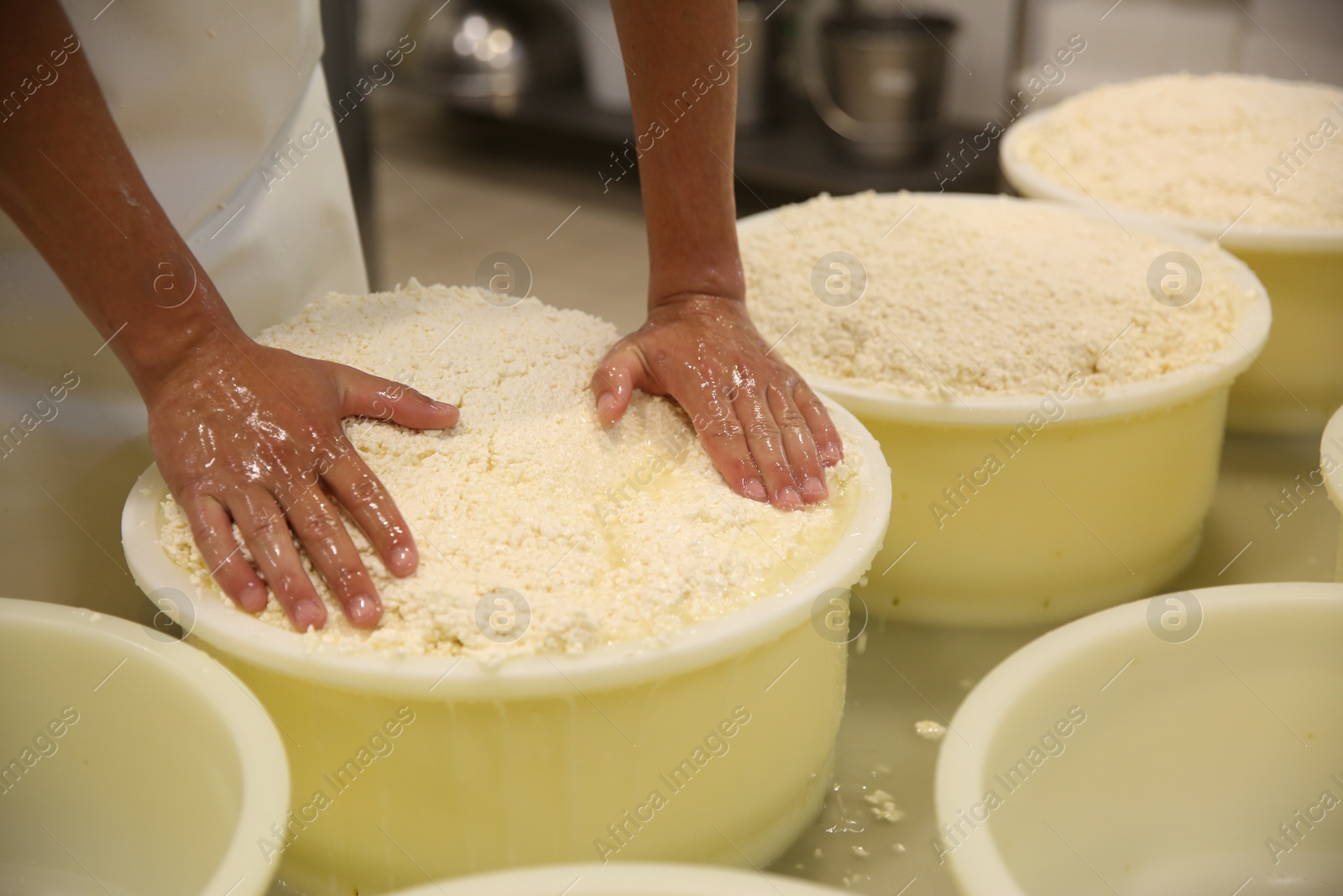 Photo of Worker pressing curd into mould at cheese factory, closeup