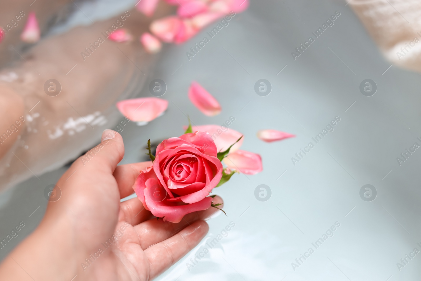 Photo of Woman holding rose flower while taking bath, closeup. Romantic atmosphere