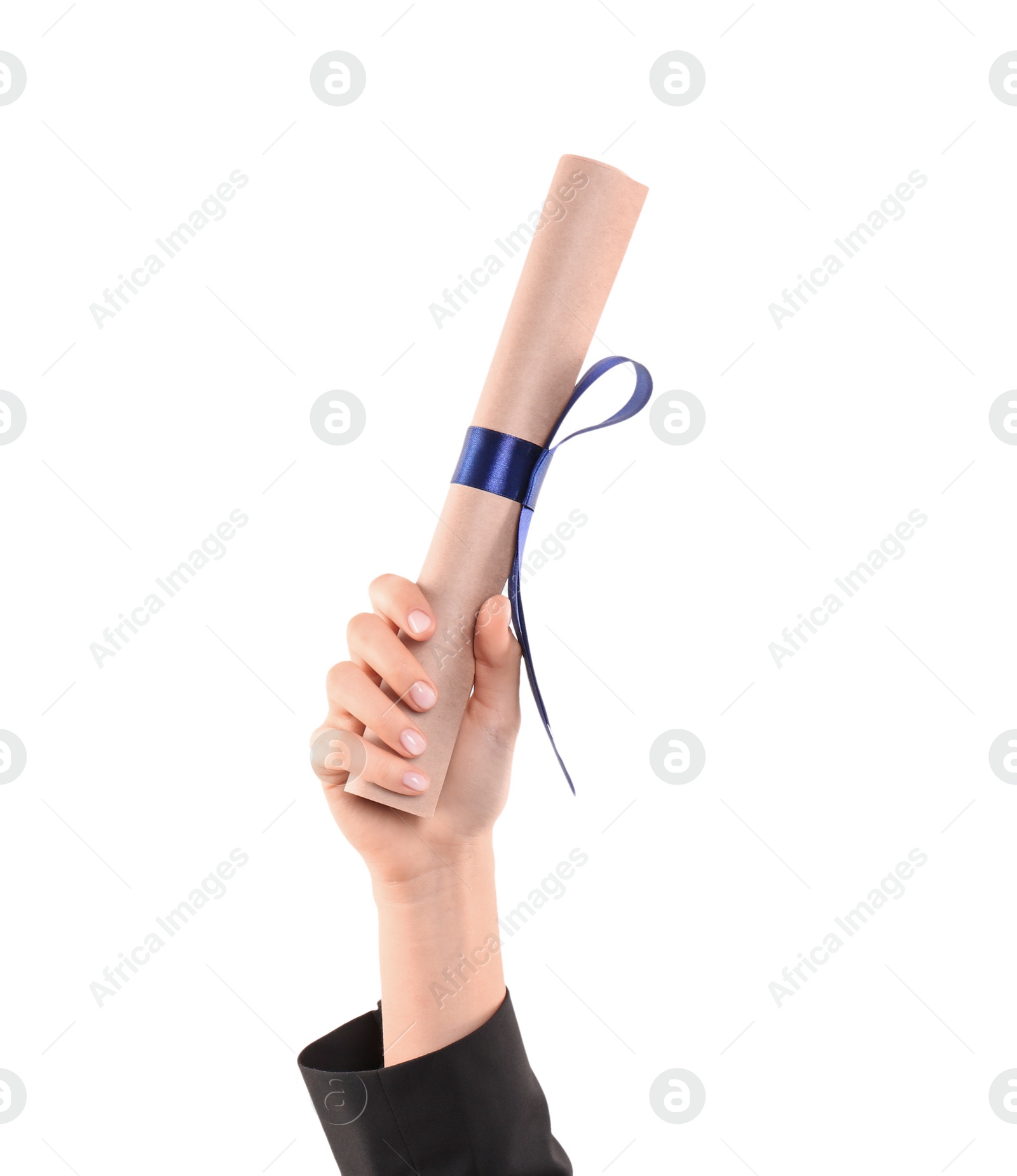 Photo of Student holding rolled diploma with blue ribbon on white background, closeup