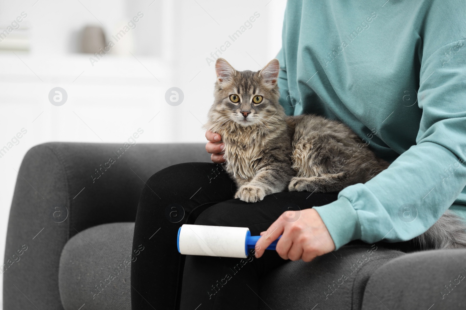 Photo of Pet shedding. Woman with lint roller removing cat`s hair from trousers on sofa at home, closeup. Space for text