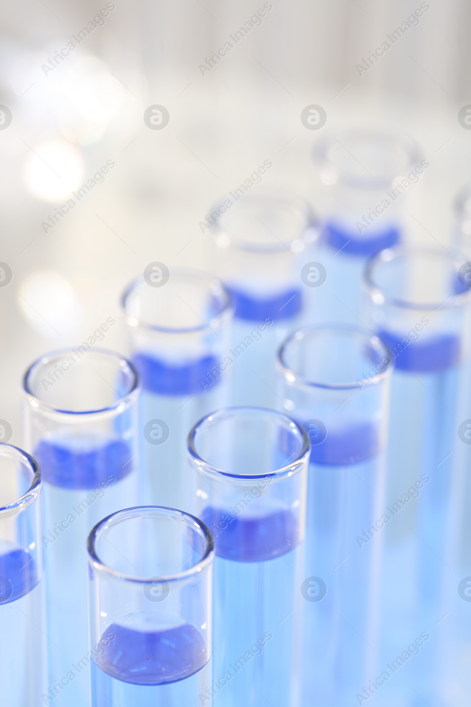 Photo of Laboratory analysis. Many glass test tubes with light blue liquid on blurred background, closeup