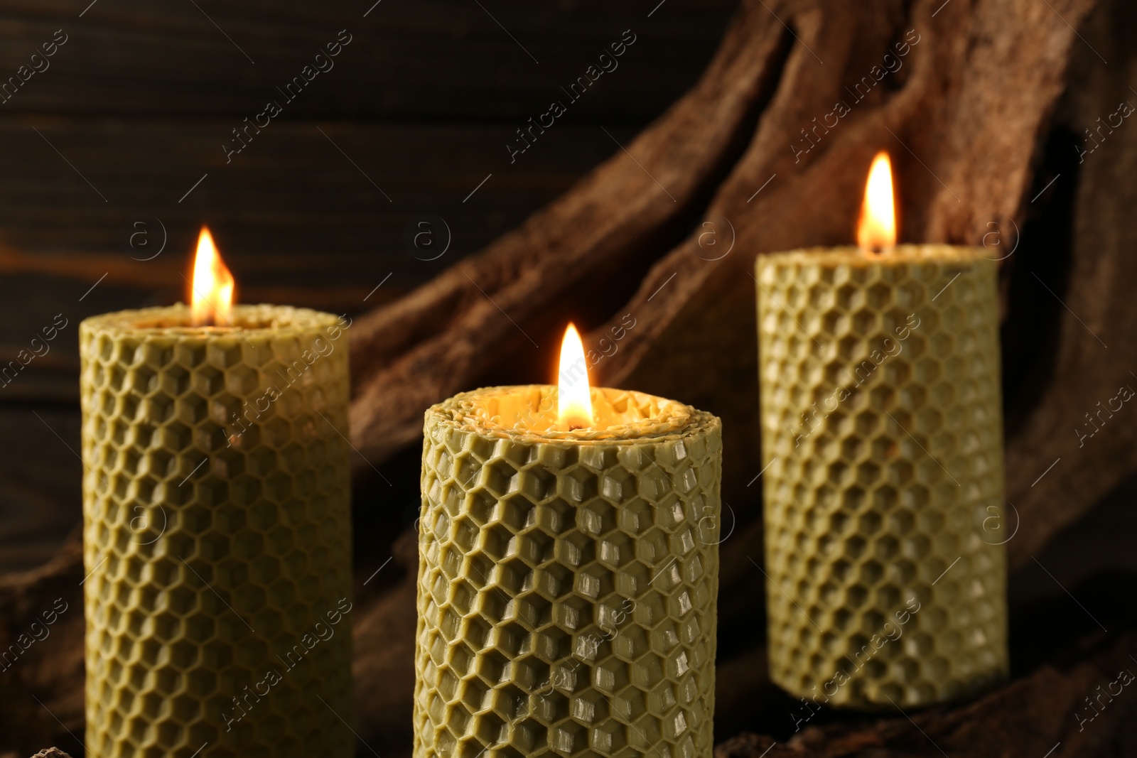 Photo of Beautiful burning beeswax candles on snag, closeup