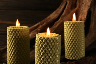 Photo of Beautiful burning beeswax candles on snag, closeup