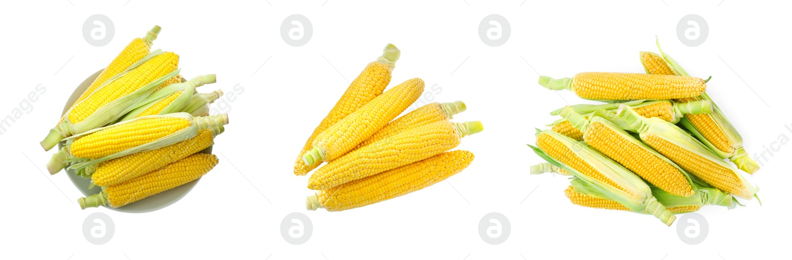 Image of Set with tasty ripe corn cobs on white background, top view. Banner design