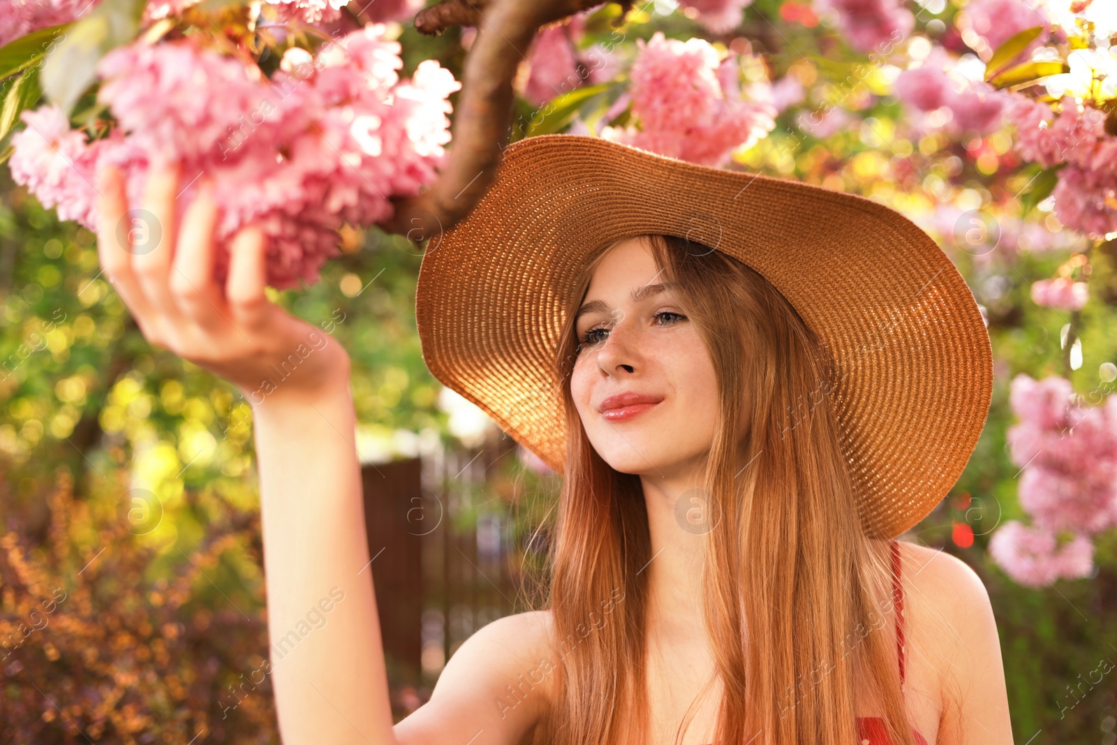 Photo of Beautiful teenage girl near blossoming sakura tree in park on sunny day