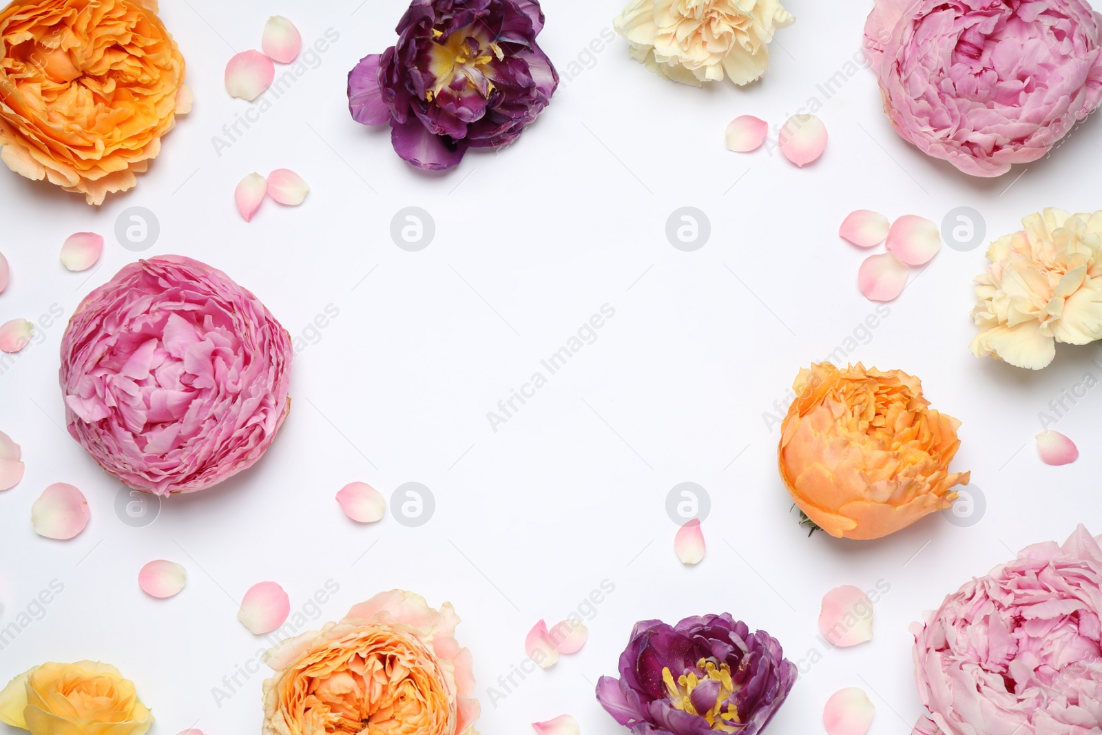 Photo of Frame made of beautiful flowers on white background, flat lay with space for text. Floral composition
