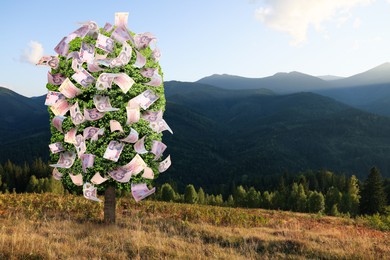 Image of Money tree on pasture in mountains. Concept of financial growth and passive income
