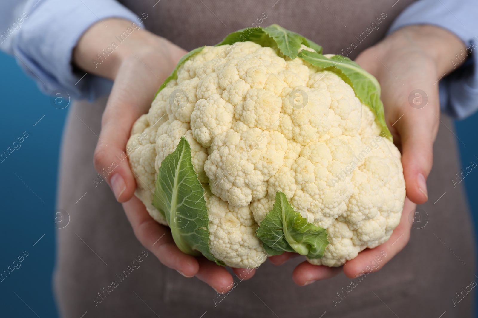 Photo of Woman holding fresh cauliflower against blue background, closeup