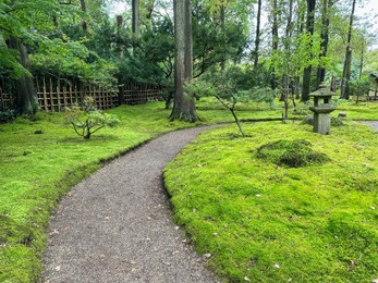 Photo of Bright moss, different plants, stone lantern and pathway in Japanese garden
