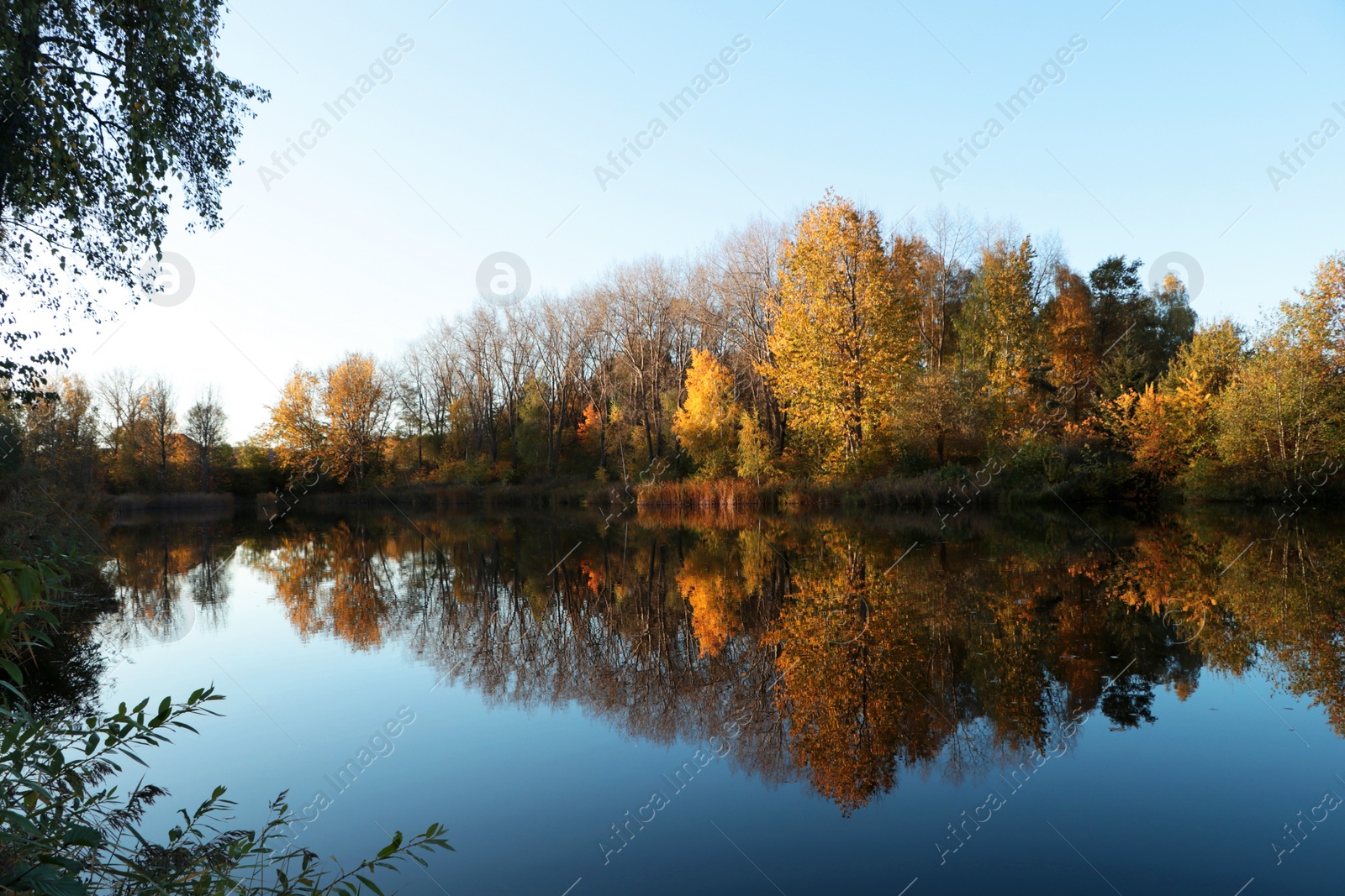 Photo of Picturesque view of lake and trees on autumn day