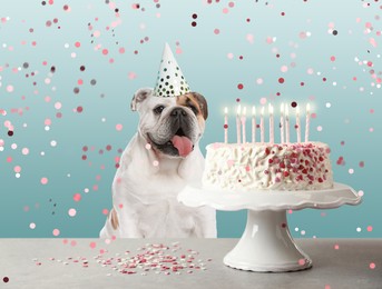 Image of Cute dog with party hat and delicious birthday cake on light blue background