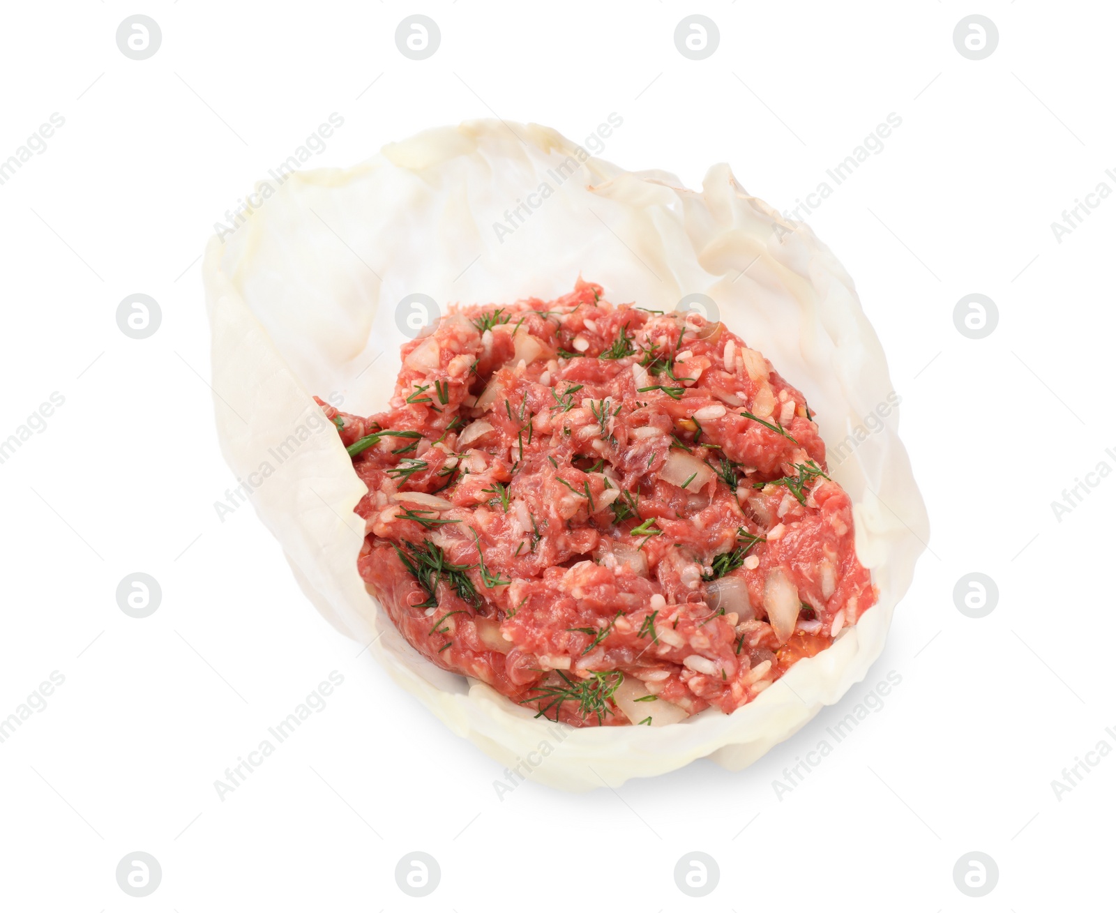 Photo of Preparing stuffed cabbage roll on white background