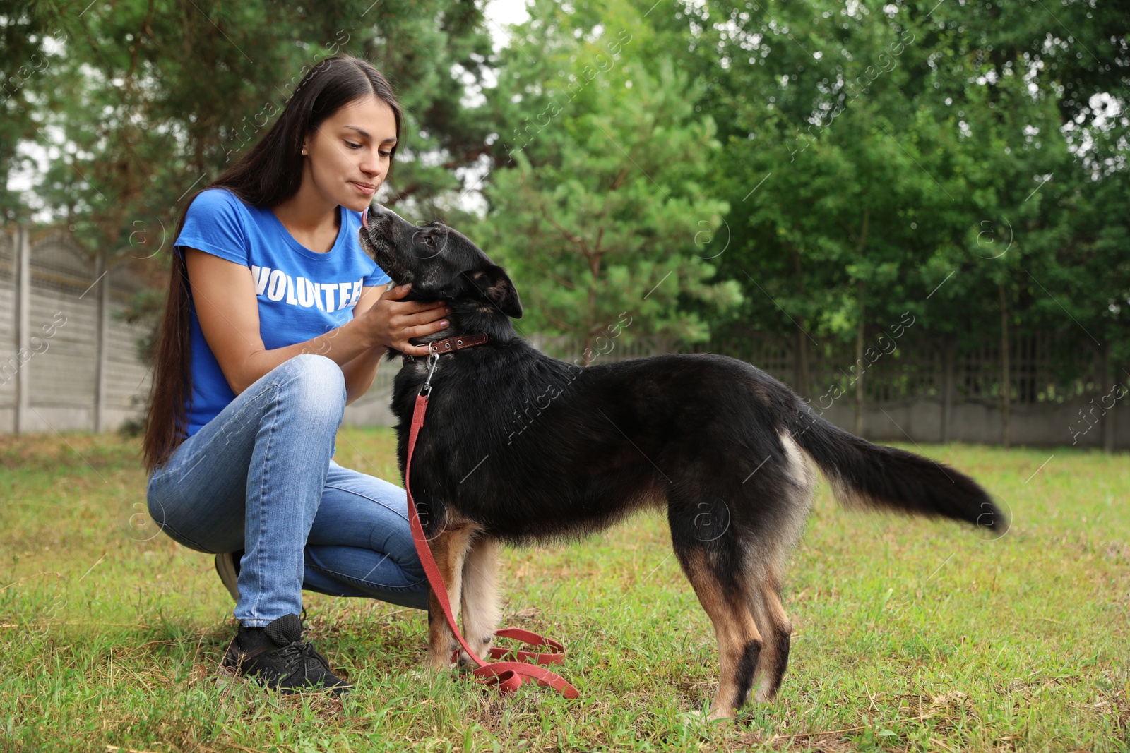Photo of Female volunteer with homeless dog at animal shelter outdoors