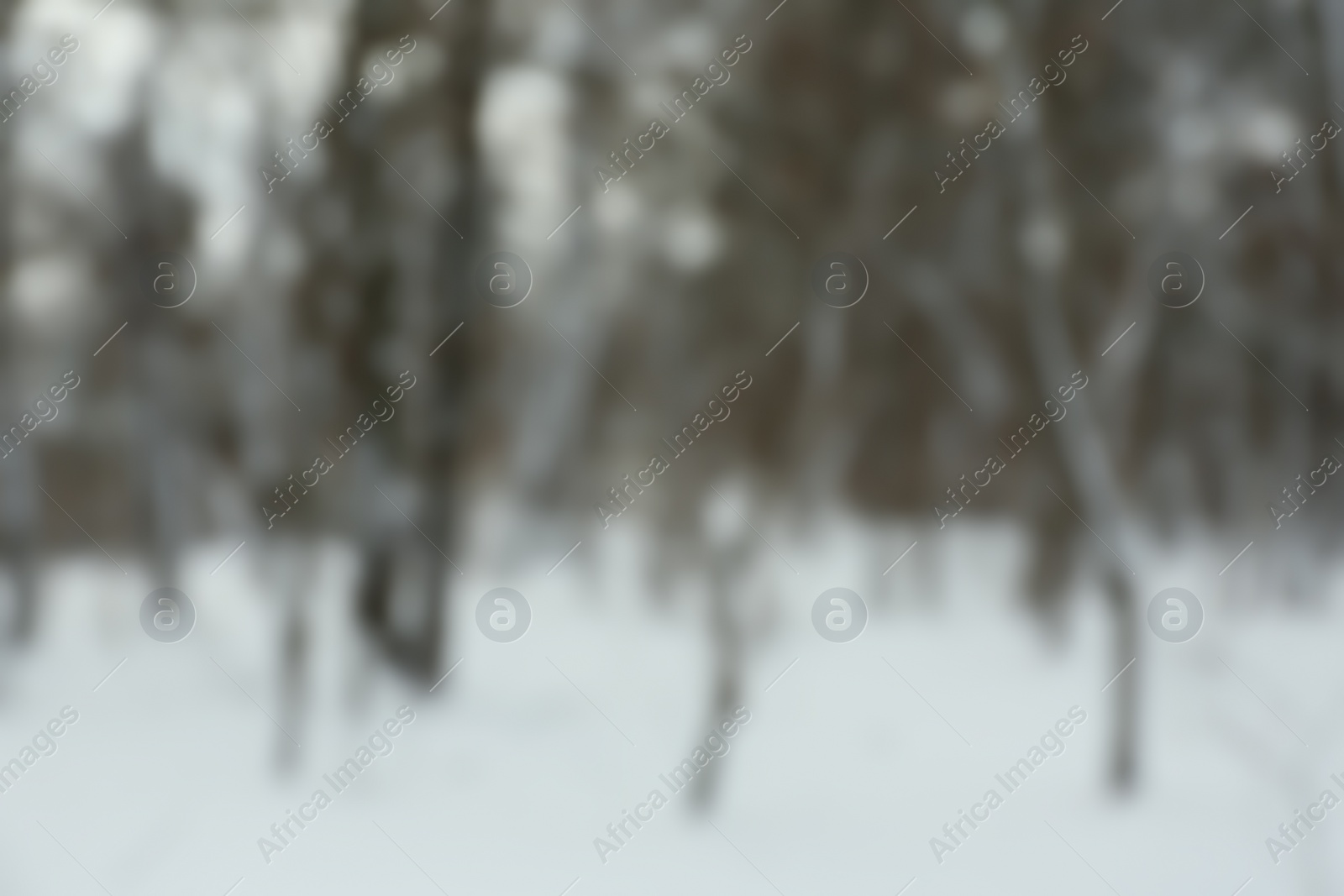 Photo of Blurred view of park on snowy winter day