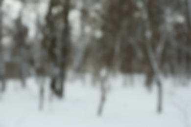 Blurred view of park on snowy winter day