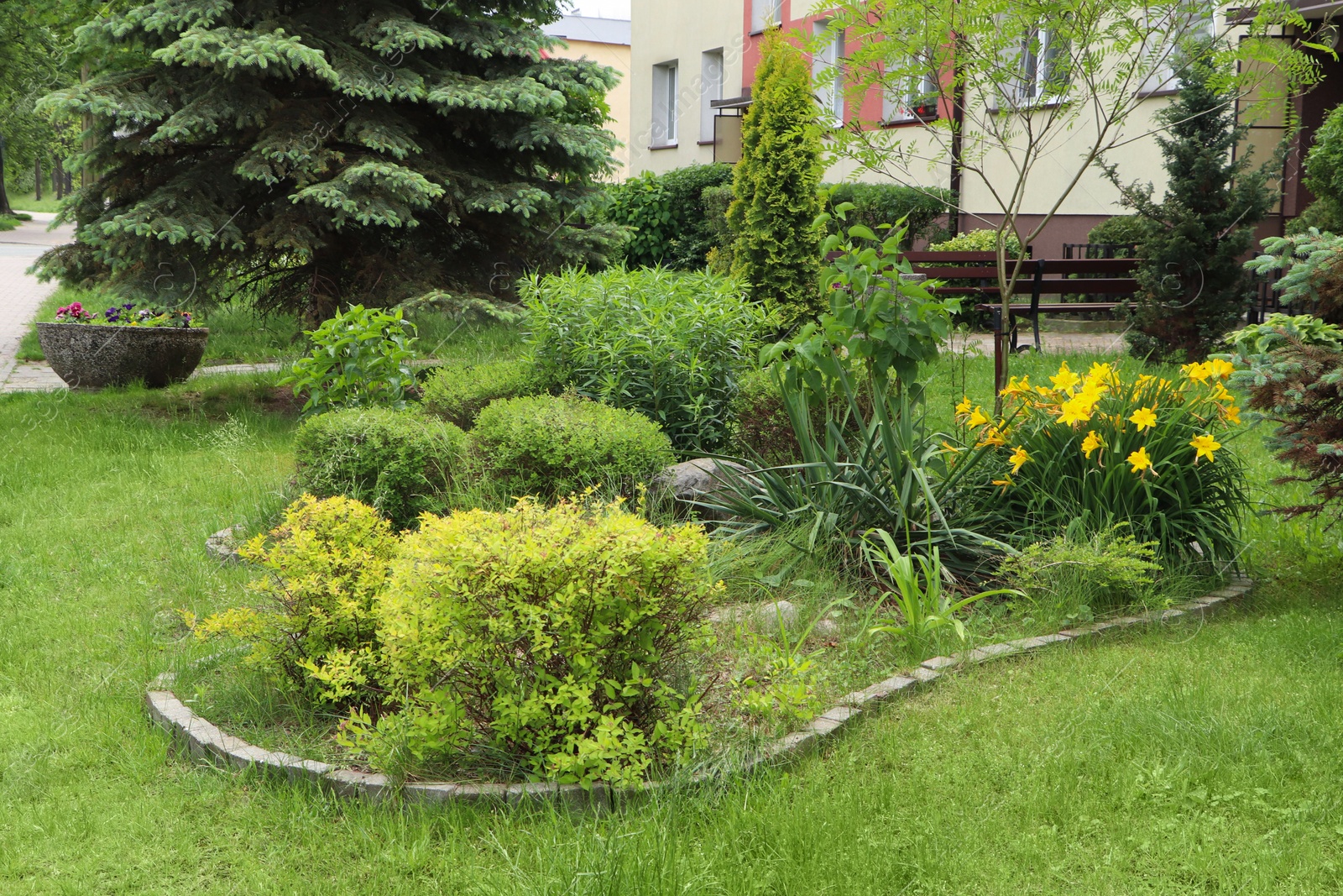 Photo of Beautiful flowerbed with different plants on city street. Gardening and landscaping