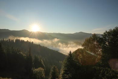 Photo of Beautiful view of mountains covered with fog at sunrise