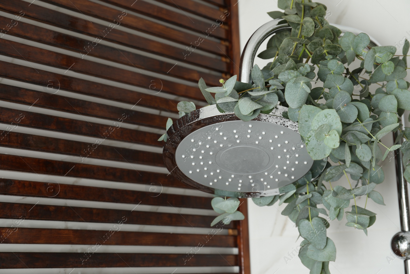 Photo of Branches with green eucalyptus leaves in shower, space for text