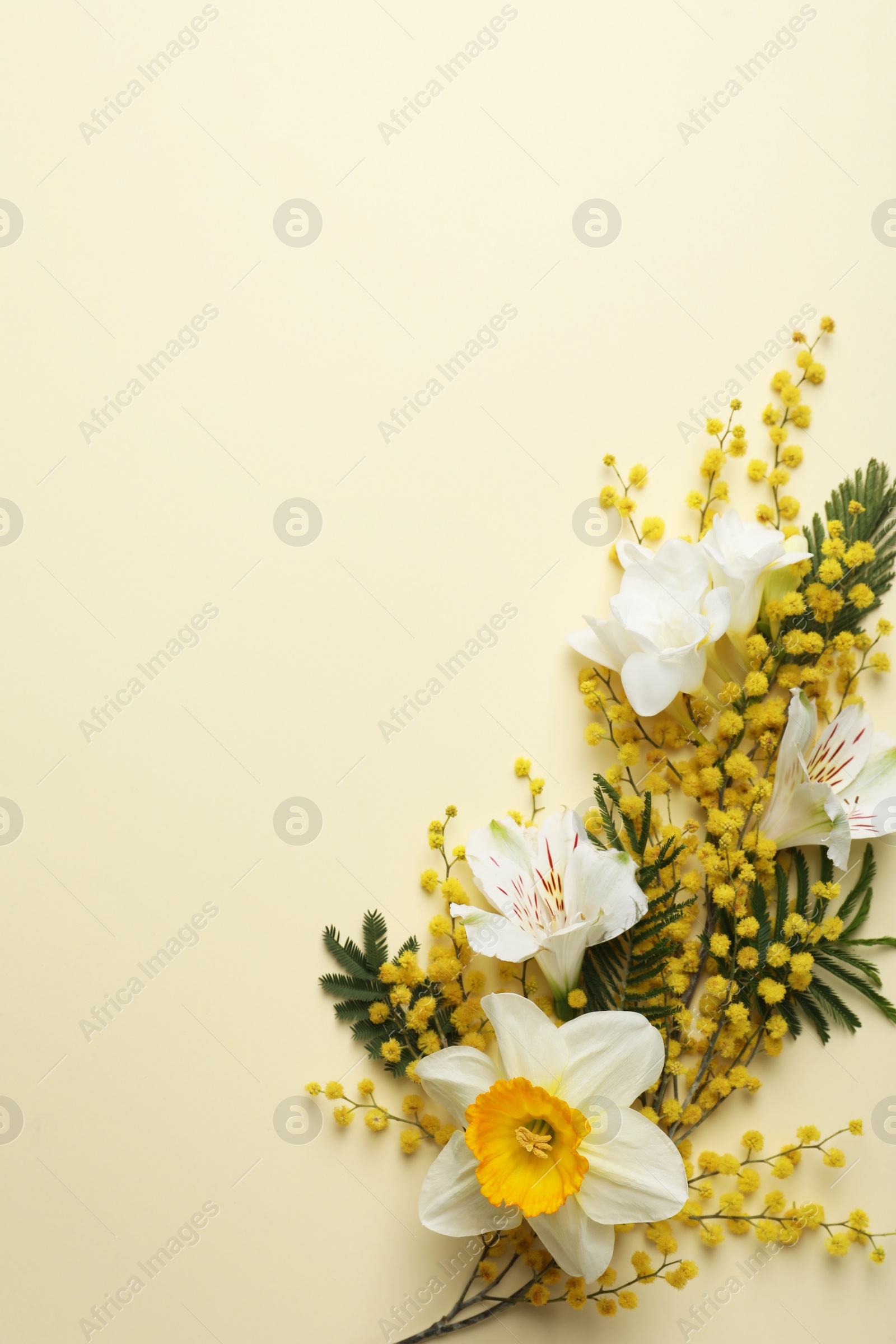 Photo of Beautiful floral composition with mimosa flowers on beige background, flat lay. Space for text