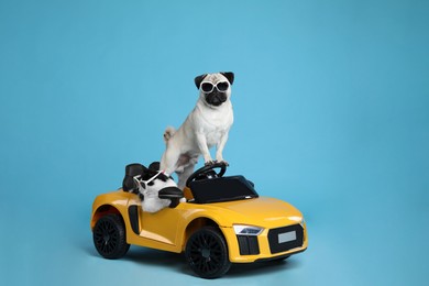 Photo of Funny pug dog and cat with sunglasses in toy car on light blue background