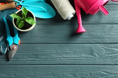 Flat lay composition with gardening tools and plant on wooden background