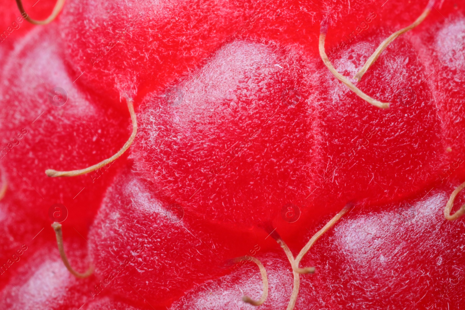 Photo of Texture of fresh ripe raspberry, macro view