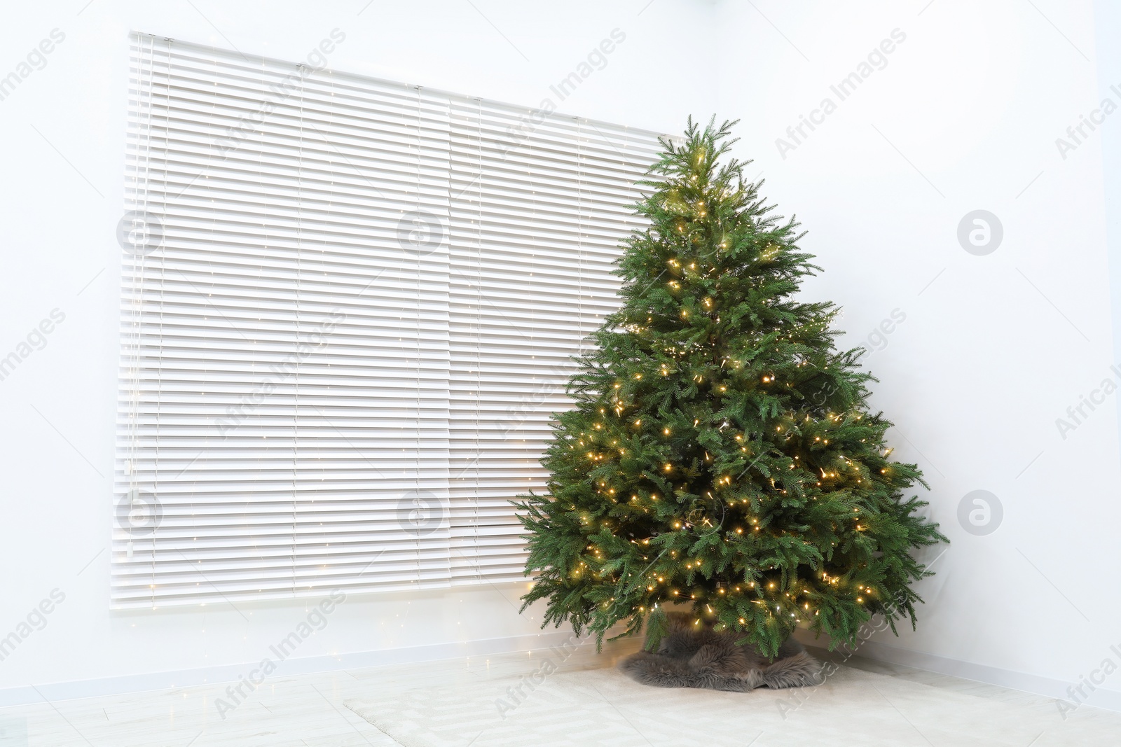 Photo of Beautiful Christmas tree with golden lights indoors. Space for text