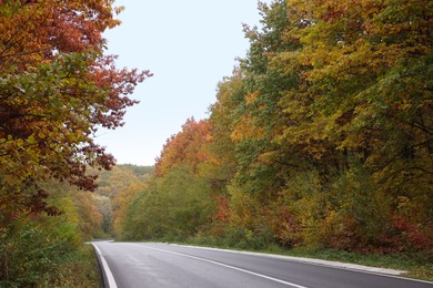 Beautiful view of asphalt highway going through autumn forest