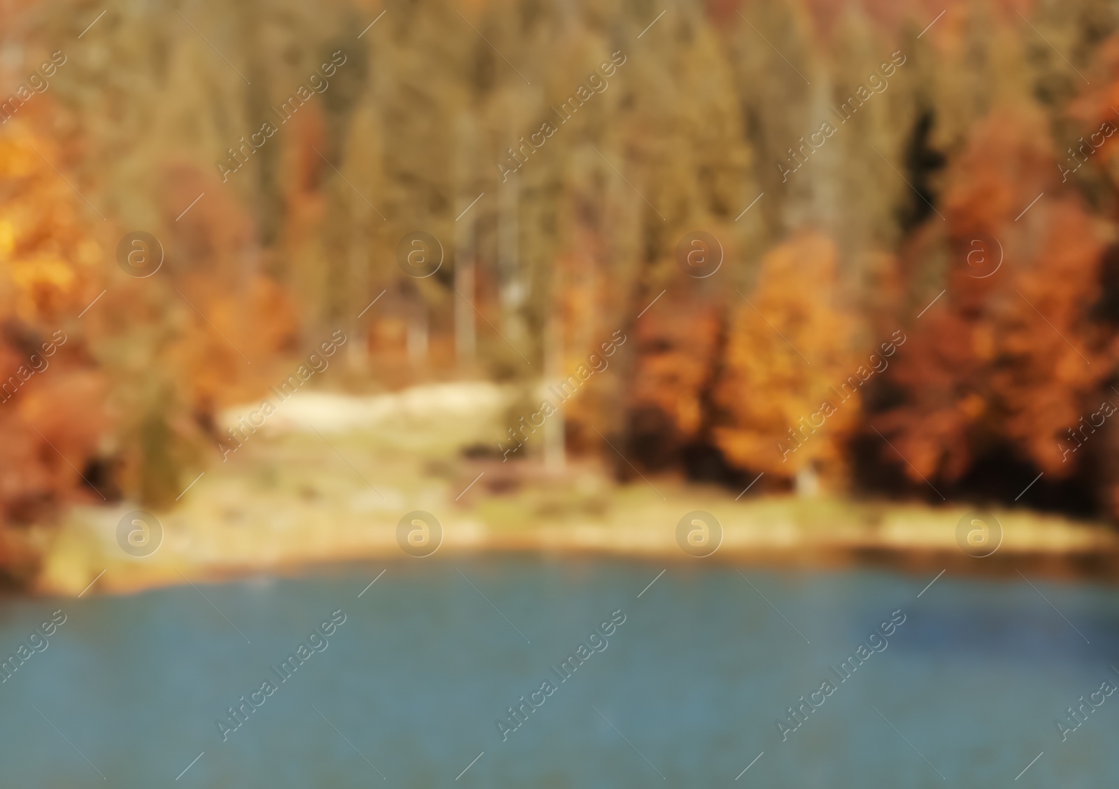 Photo of Beautiful landscape with forest near river on sunny day, blurred view