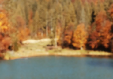 Beautiful landscape with forest near river on sunny day, blurred view