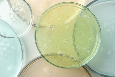 Photo of Petri dishes with different liquid samples on white background, top view
