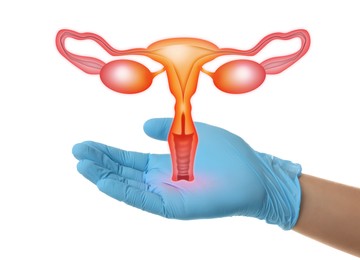 Image of Doctor demonstrating virtual icon with illustration of female reproductive system on white background, closeup. Gynecological care 