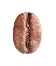 Roasted coffee bean on white background, top view