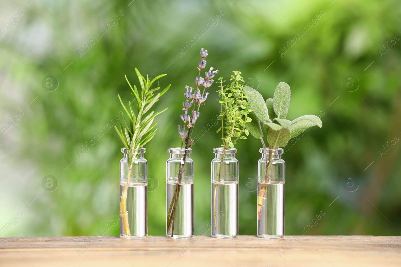 Photo of Bottles with essential oils and plants on wooden table against blurred green background