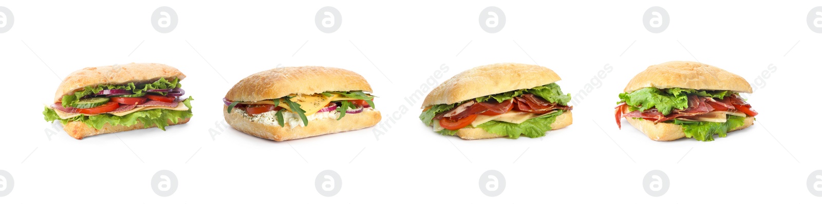 Image of Set of different yummy sandwiches on white background. Banner design