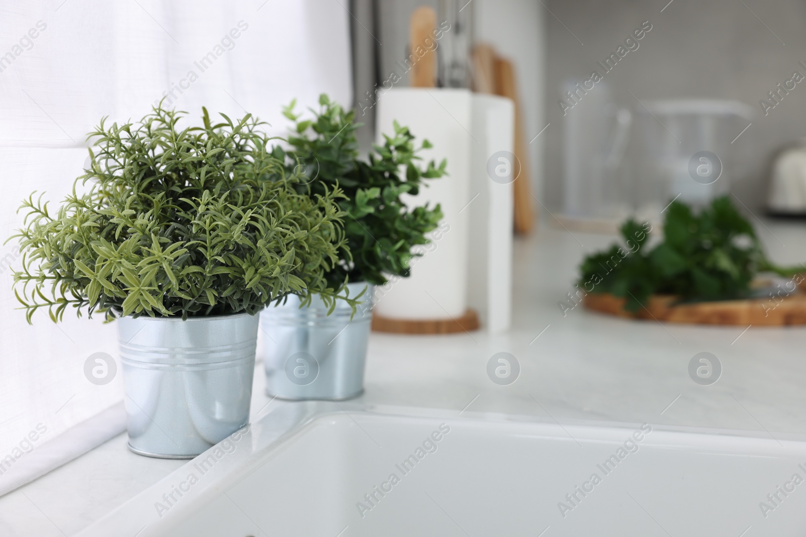 Photo of Different potted artificial plants on countertop in kitchen, space for text. Home decor