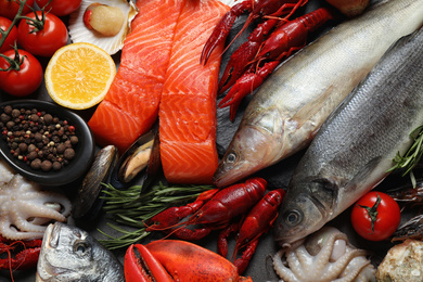 Photo of Fresh fish and different seafood on table, flat lay