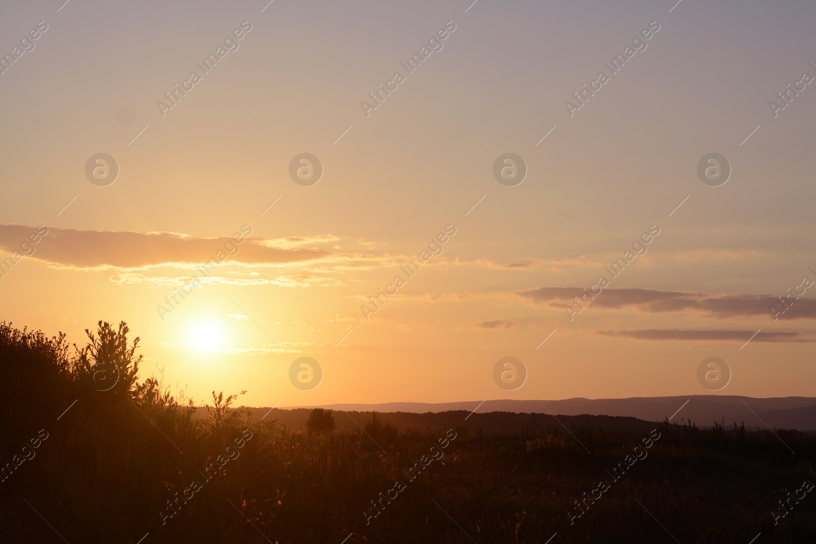 Photo of Picturesque view of beautiful field at sunset