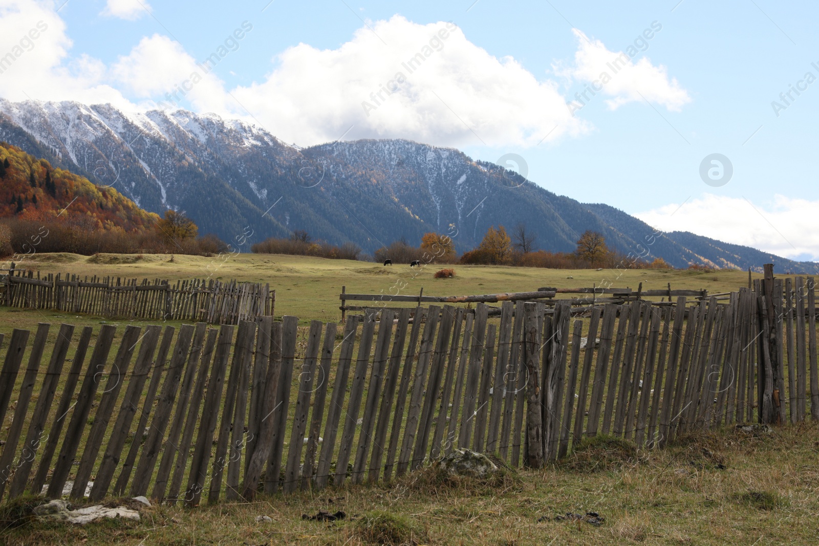 Photo of Picturesque view of fence in mountains with forest on autumn day