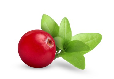 Image of One fresh ripe cranberry with leaves isolated on white