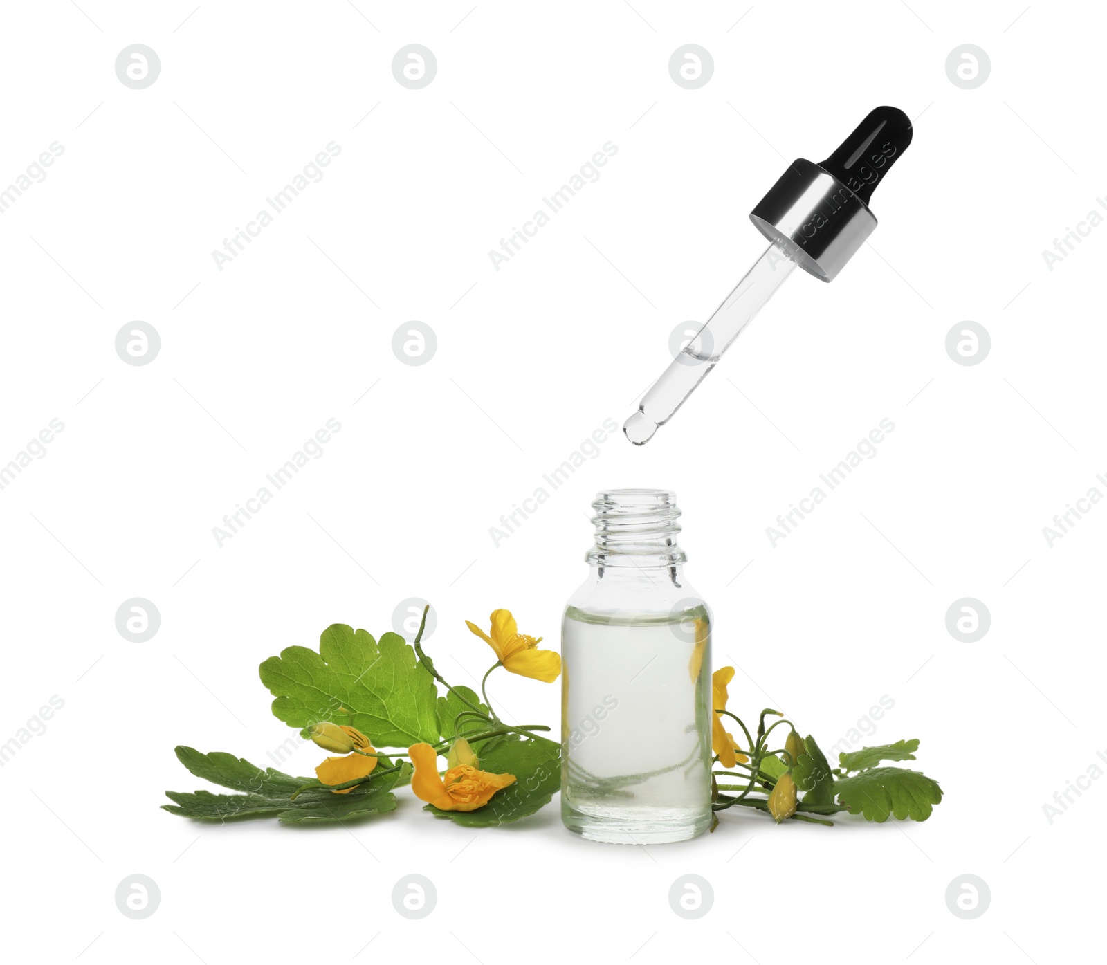 Photo of Bottle of essential oil, pipette and celandine on white background